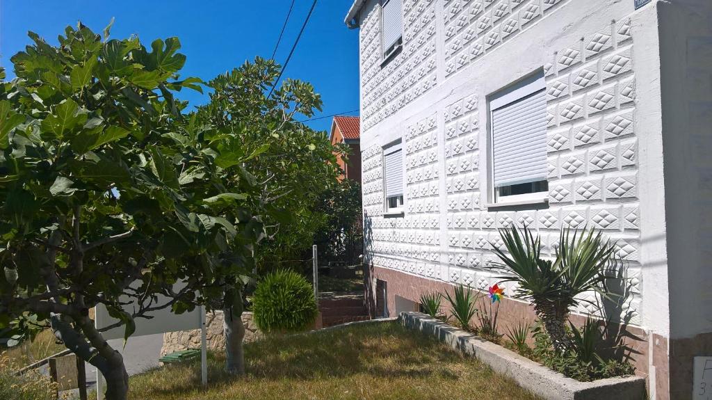 Zahrada ubytování APARTMAN PAVE & ILIJA jr