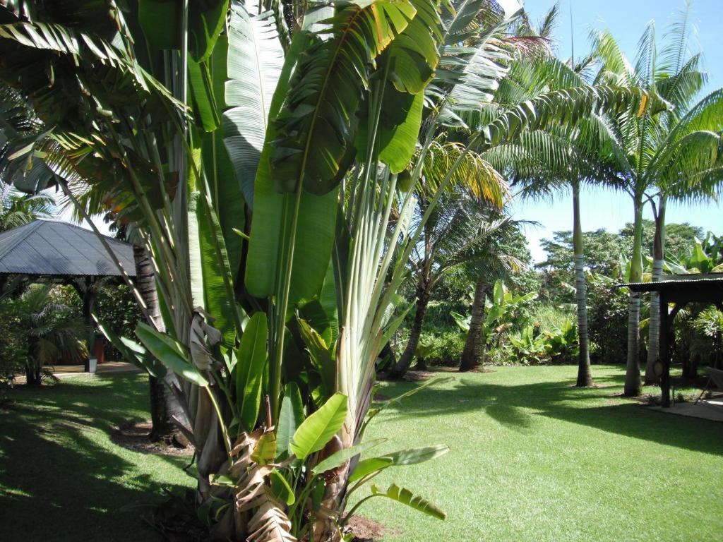 Giardino di Island Goode's - Luxury Adult Only Accommodation near Hilo