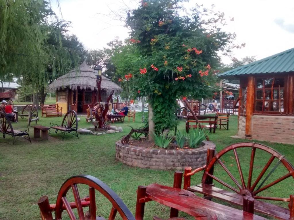 un parque con bancos y un árbol con flores en Posada del Tata en Nono