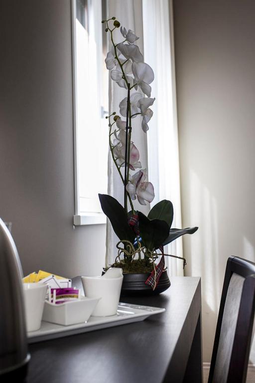Fotografie z fotogalerie ubytování Zara Rooms & Suites v destinaci Suzzara