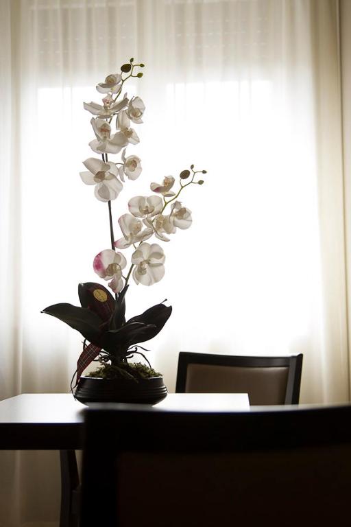 Fotografie z fotogalerie ubytování Zara Rooms & Suites v destinaci Suzzara