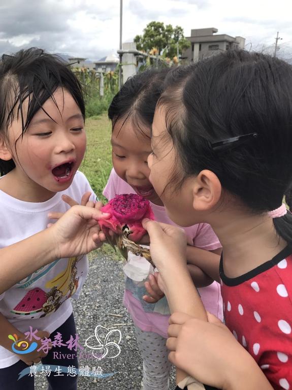 a group of three young girls playing with a flower at River Forest Leisure Farm in Dongshan