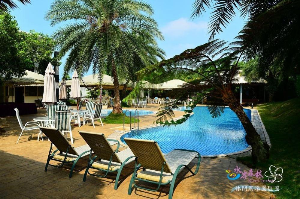 a group of chairs and a swimming pool with palm trees at River Forest Leisure Farm in Dongshan