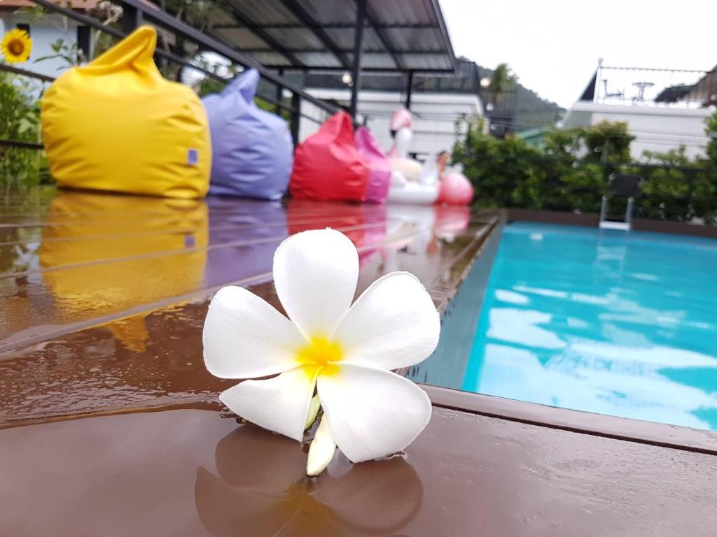 a white flower sitting on a table next to a swimming pool at Phannarai House in Lamai