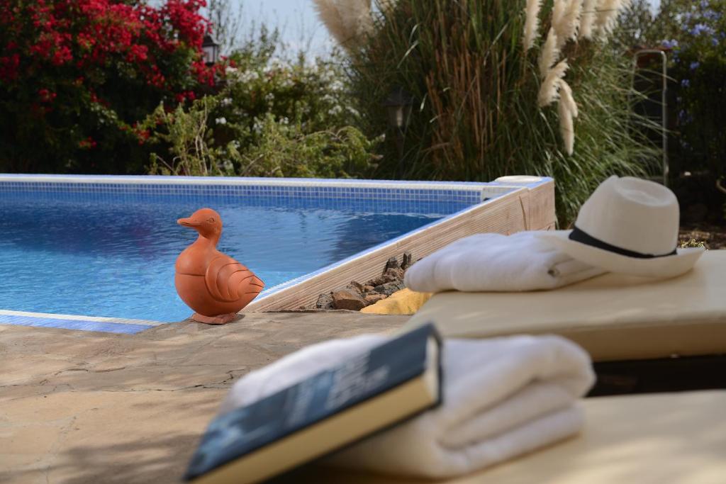 The swimming pool at or close to Finca La Majadera