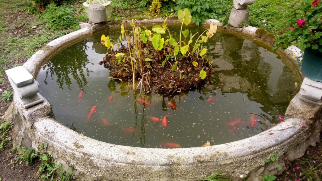 Vonkajšia záhrada v ubytovaní L'antico Giardino