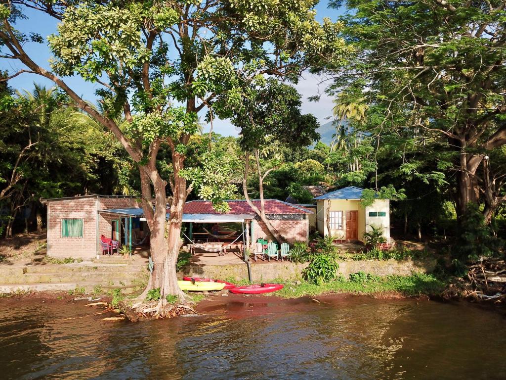 a house and a tree in the middle of a river at Los Chocoyos in Mérida