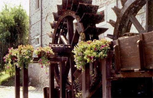 a group of potted plants in front of a building at Hotel L'Ultimo Mulino in Bannia