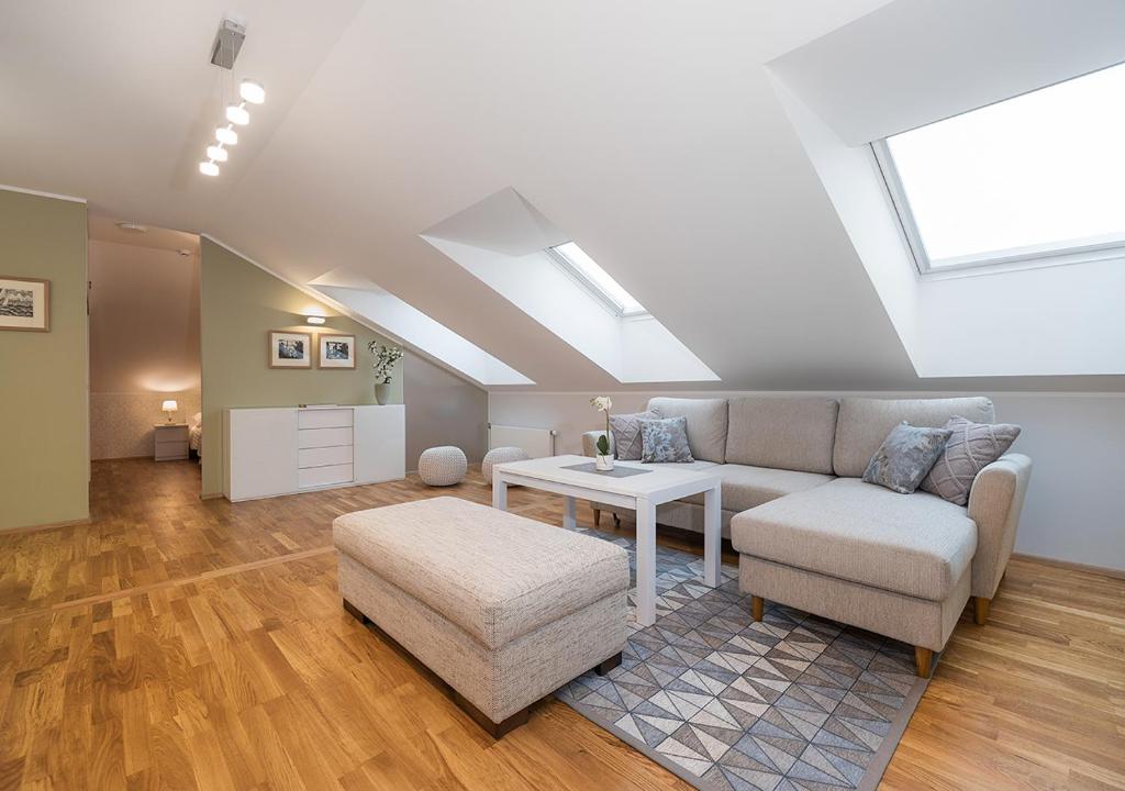 Rooftop Apartments - Superior Apartment