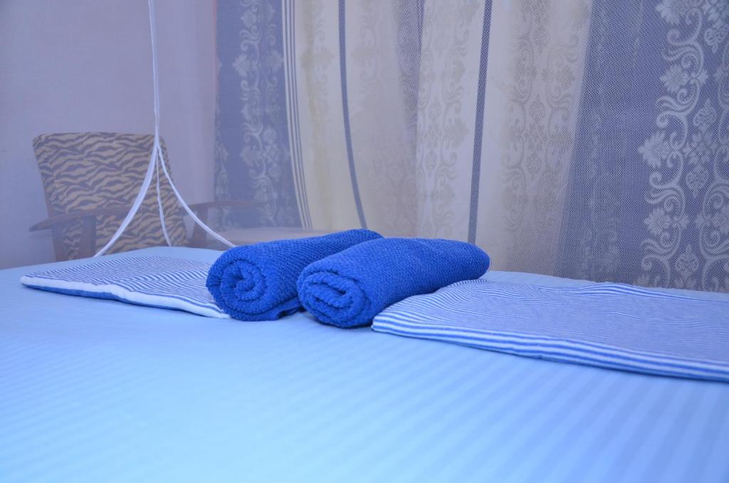 Lilly Palace Villa Guest House - 4