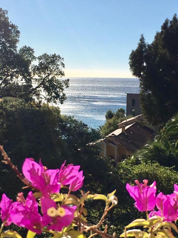 - une vue sur l'océan avec des fleurs roses dans l'établissement Villa Olivea, à Rayol-Canadel-sur-Mer