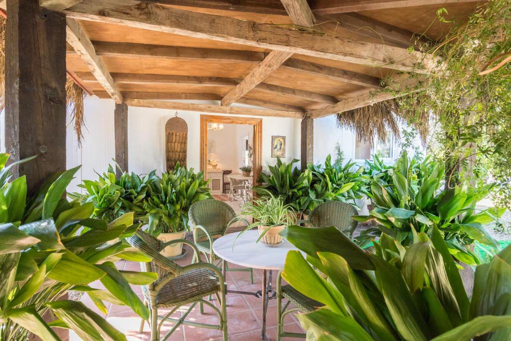 a patio with a table and chairs and plants at La Casita by Teresa in Marbella