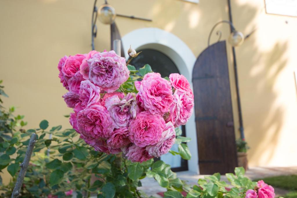 A garden outside Casa Dei Lecci