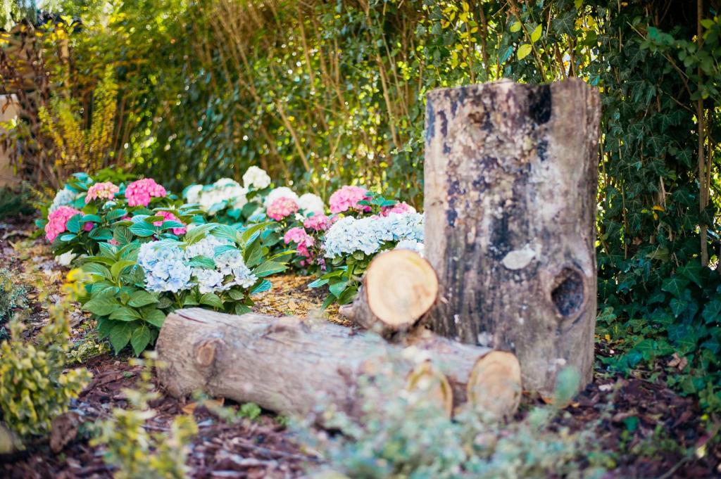 Zahrada ubytování Sundial Boutique Hotel