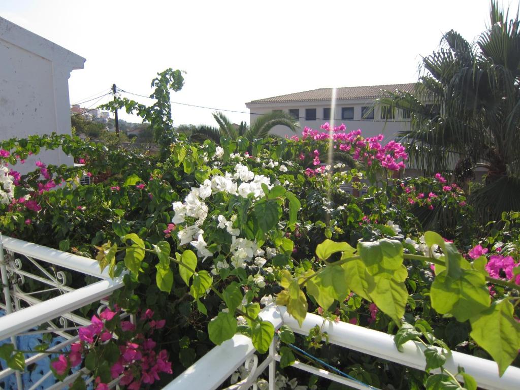 a garden with pink and white flowers on a fence at Sandalis Hotel in Pythagoreio