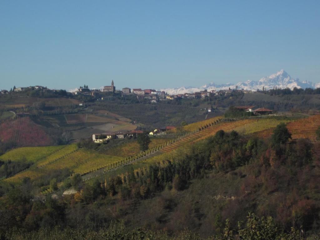 Cascina Giardini - 19