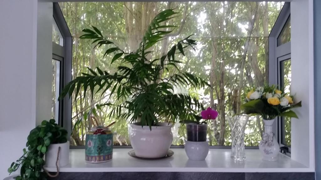 Alice House - Resim 16