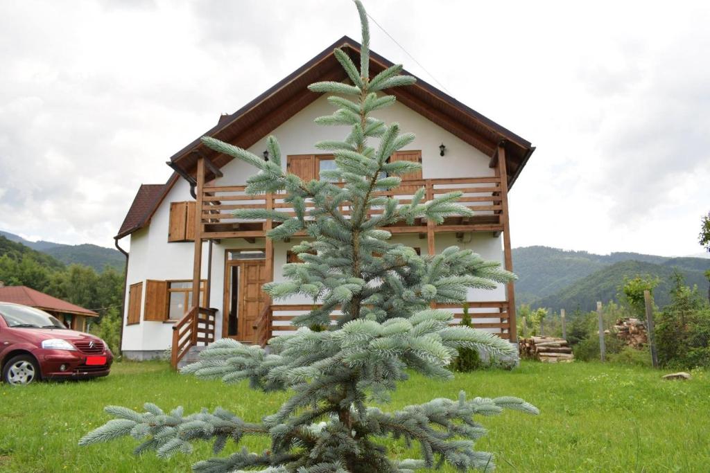 Holiday house Casa Dejani - Huis Met Vier Slaapkamers