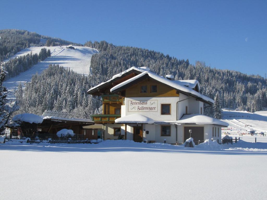 Ferienhaus Fallenegger v zime