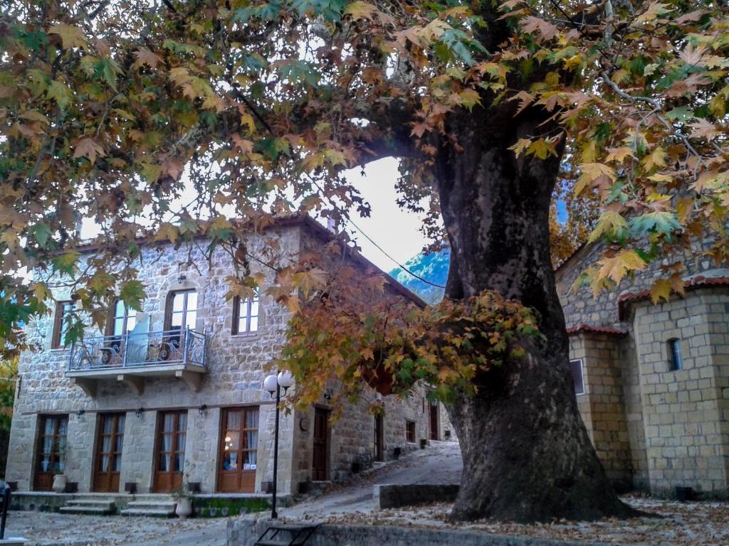 The building in which a vendégházakat is located