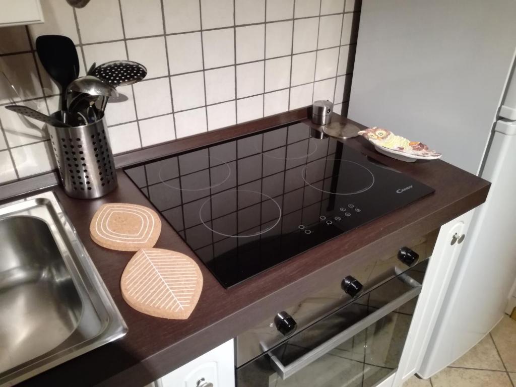 Kuchyň nebo kuchyňský kout v ubytování Marmot Apartment