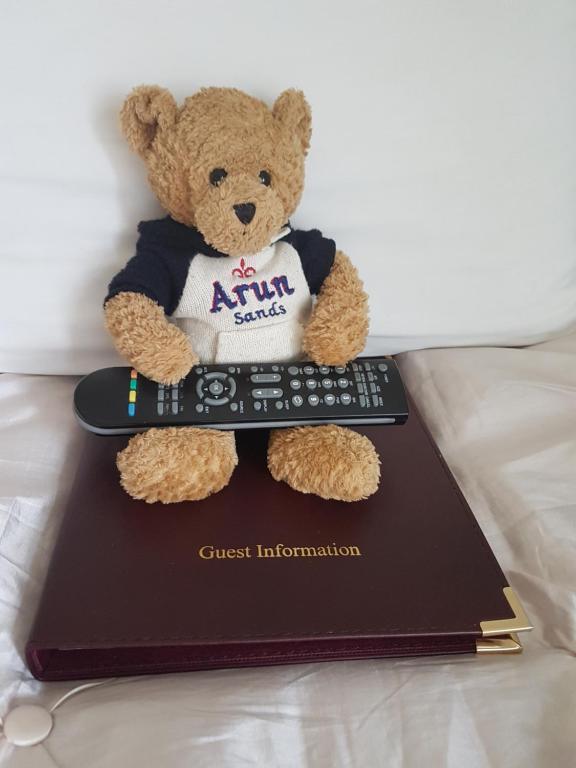 a teddy bear sitting on top of a book at Arun Sands Rooms in Littlehampton