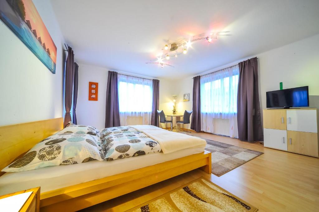 een slaapkamer met een bed, een tv en ramen bij Privatzimmer Haus Erika in Sankt Peter-Freienstein
