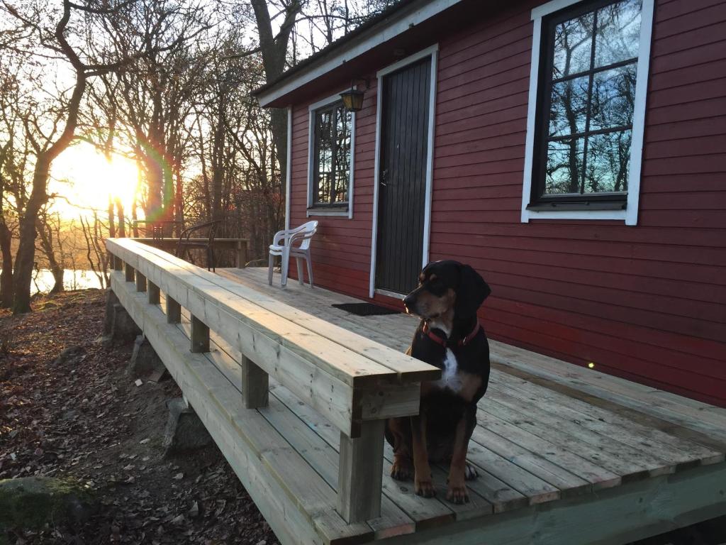 Farm Stay Happy Dogs Ranch