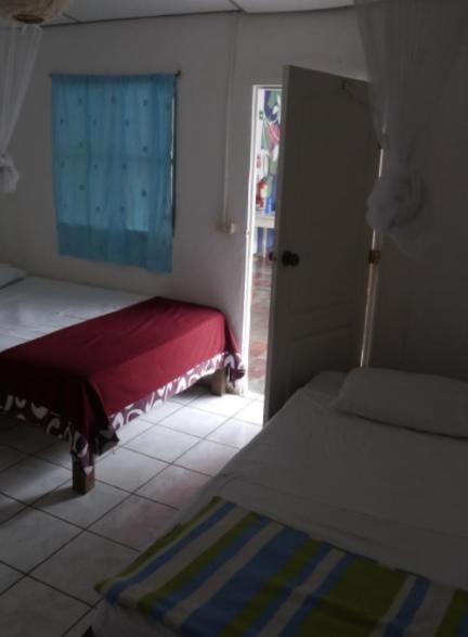 Luna International Hostel photo