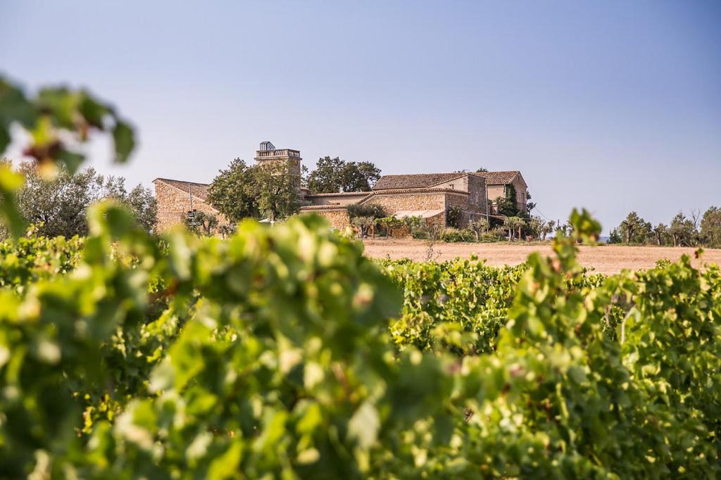 a field with a house in the background at Domaine Sainte Suzanne in Puimisson