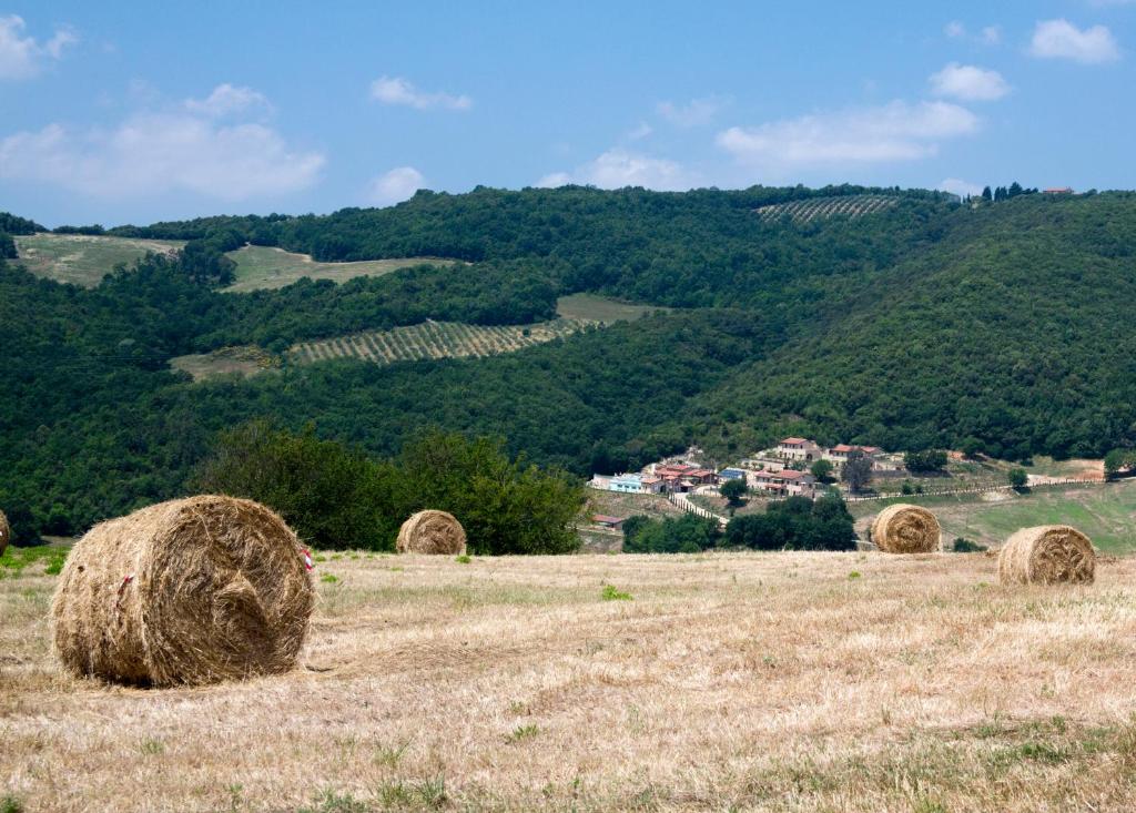 Príroda v okolí hotela