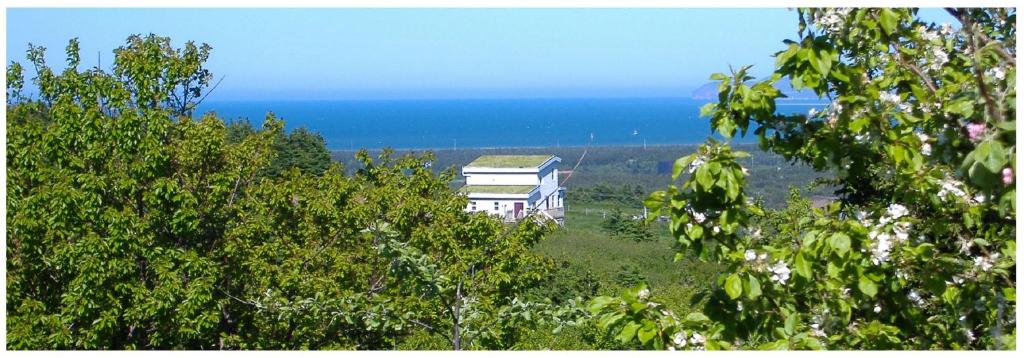 Φυσικό τοπίο κοντά σε αυτό το bed & breakfast