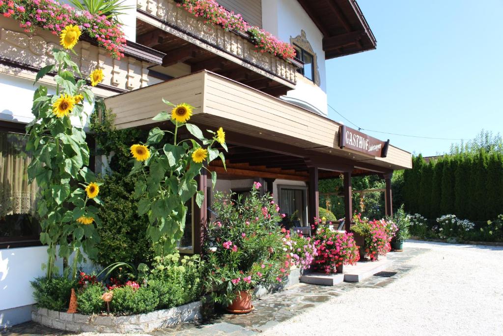 Zahrada ubytování Gasthof Liebetegger