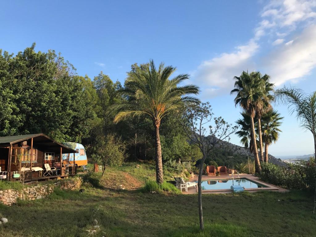 a villa with a swimming pool and palm trees at Casa del Paso in Bolulla