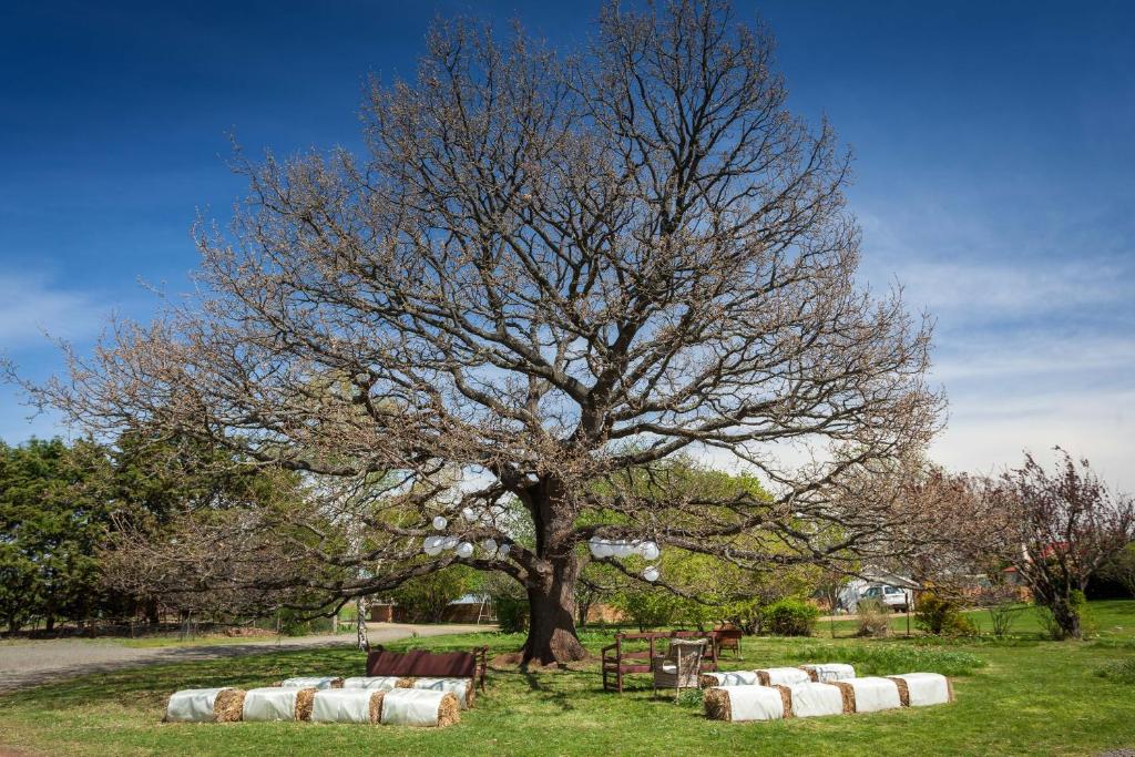 Zahrada ubytování Ratho Farm