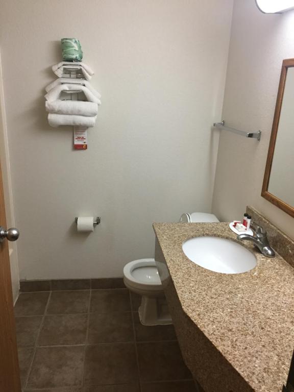 Super 8 by Wyndham College Station - Double Room With Two Double Beds - Non-Smoking