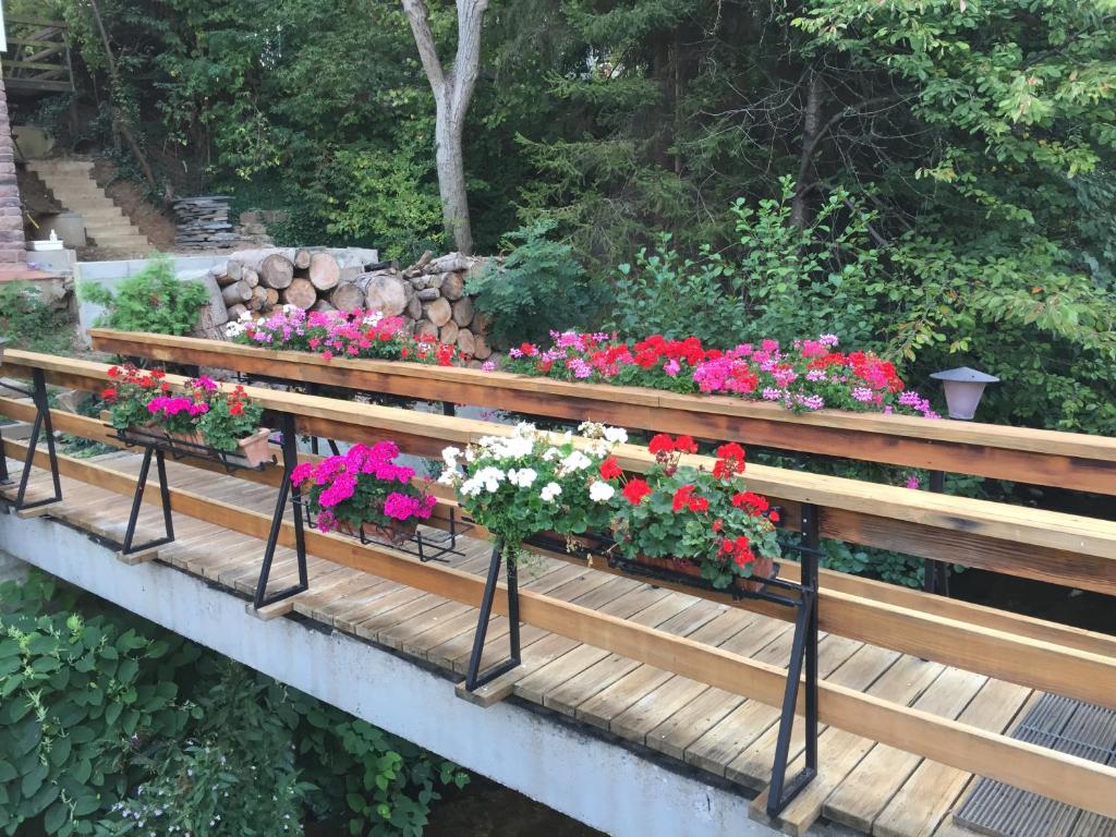 Le Gite du Pont – photo 9