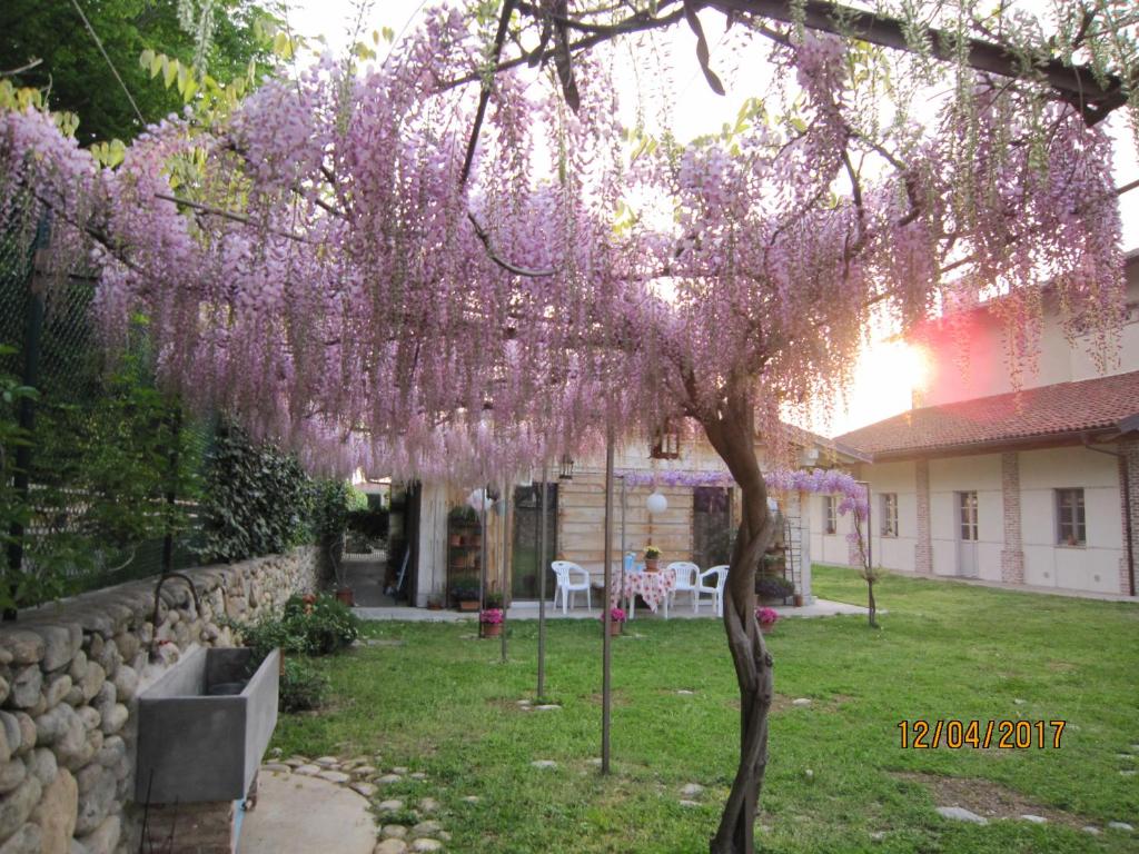 Zahrada ubytování Casa Torre Allera