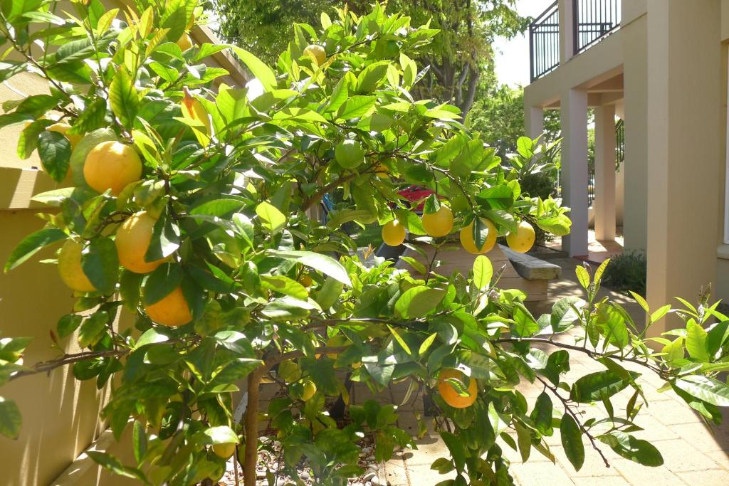 Lugano Motor Lodge - Resim 25