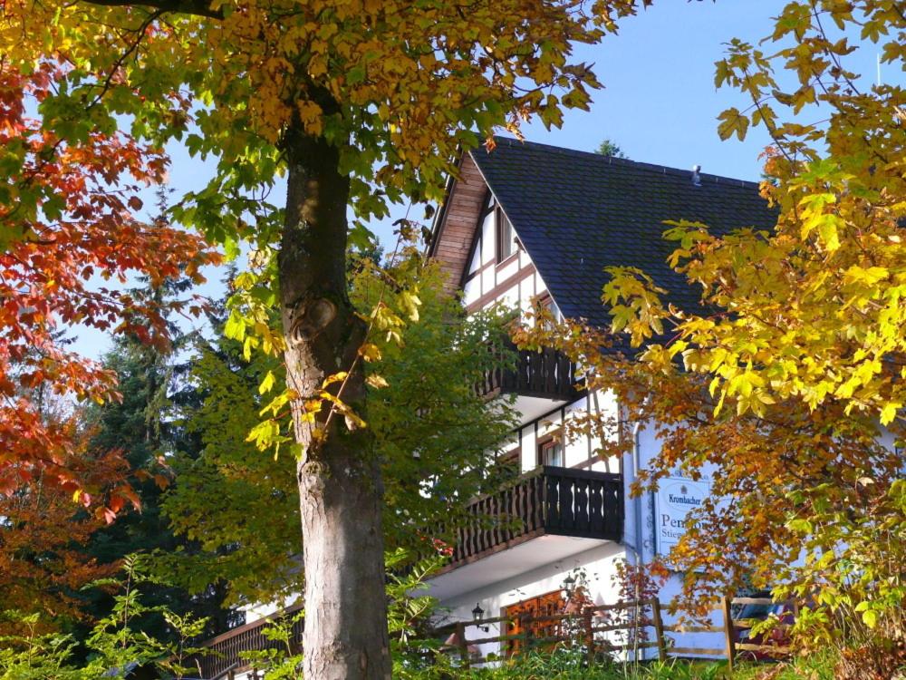 a house with a balcony and a tree at Pension Stiegelmeier in Winterberg