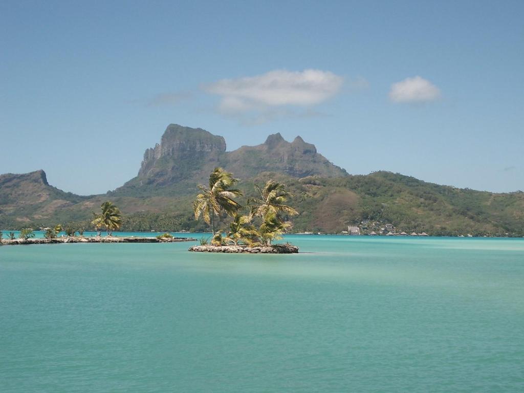 a small island with palm trees in the water at Village Temanuata in Bora Bora