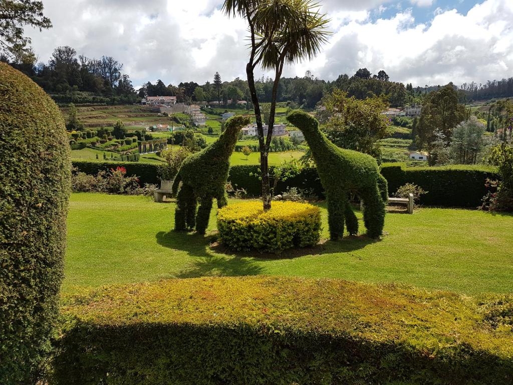 Zahrada ubytování KSTDC Hotel Mayura Sudarshan ,Ooty