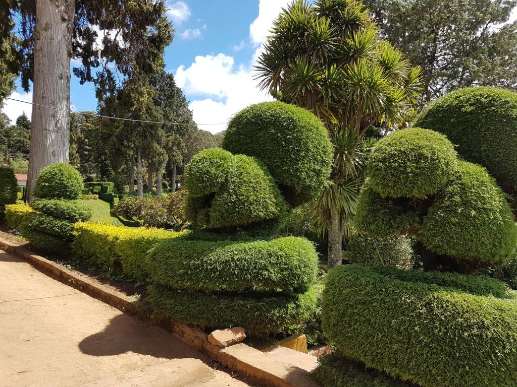 Zahrada ubytování KSTDC Hotel Mayura Sudarshan ,Ooty