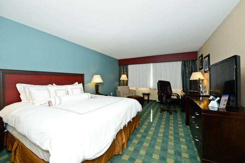 Causeway Bay Hotel - 