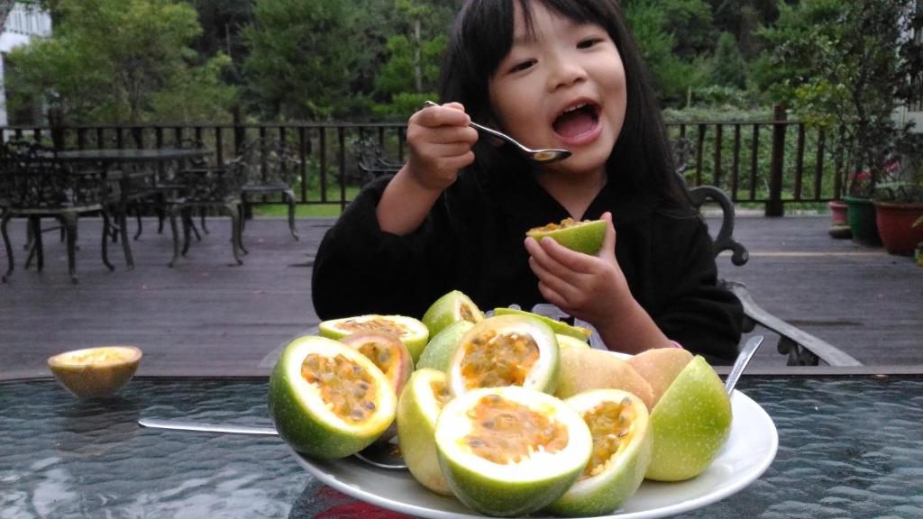 &#x6C11;&#x5BBF;&#x6216;&#x9644;&#x8FD1;&#x7684;&#x98DF;&#x7269;