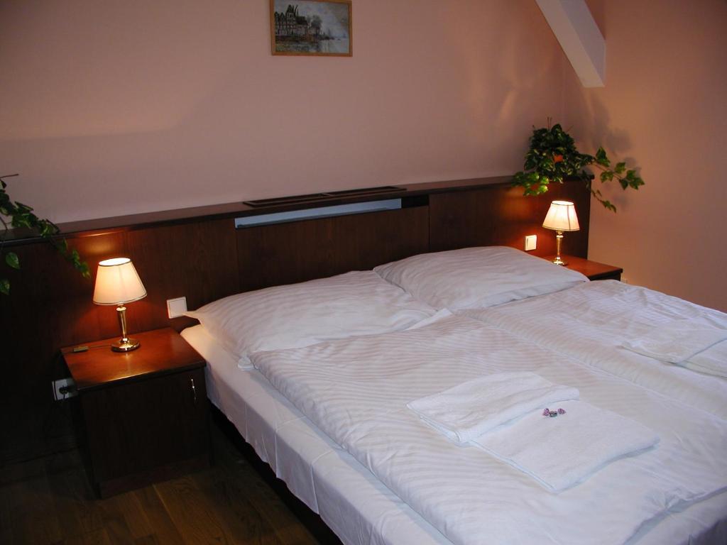 Zámek Havířov - Double Room With Private Bathroom