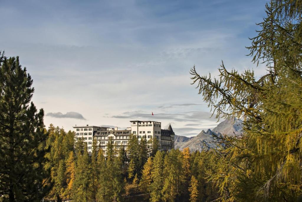 un bâtiment au sommet d'une montagne avec des arbres dans l'établissement Hotel Waldhaus Sils, à Sils-Maria