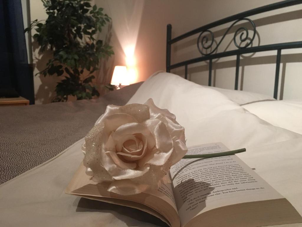 ヴェローナにあるJuliet Roomのベッドの上に座るバラ