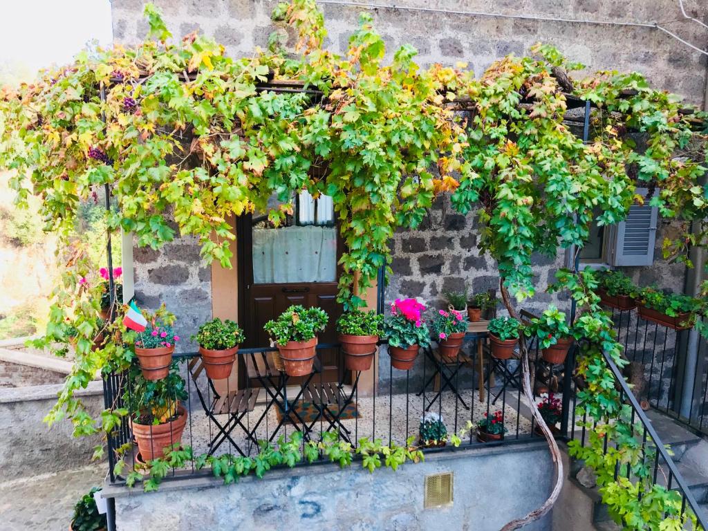 une bande de plantes en pot sur un balcon dans l'établissement Renaissance Boutique House, à Ronciglione