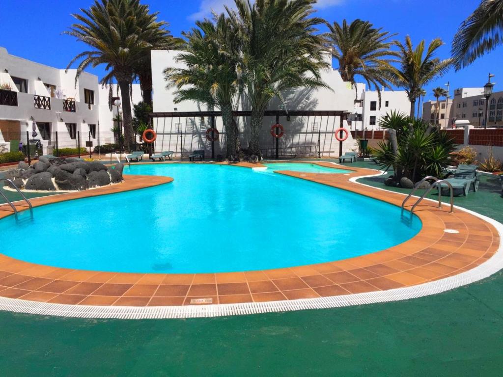 a large swimming pool with palm trees and buildings at Aloha Corralejo in Corralejo
